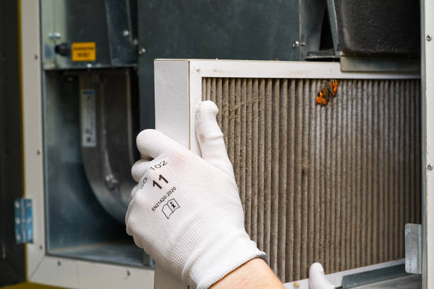 Best Air Duct Mold Removal  in Morrisville, PA